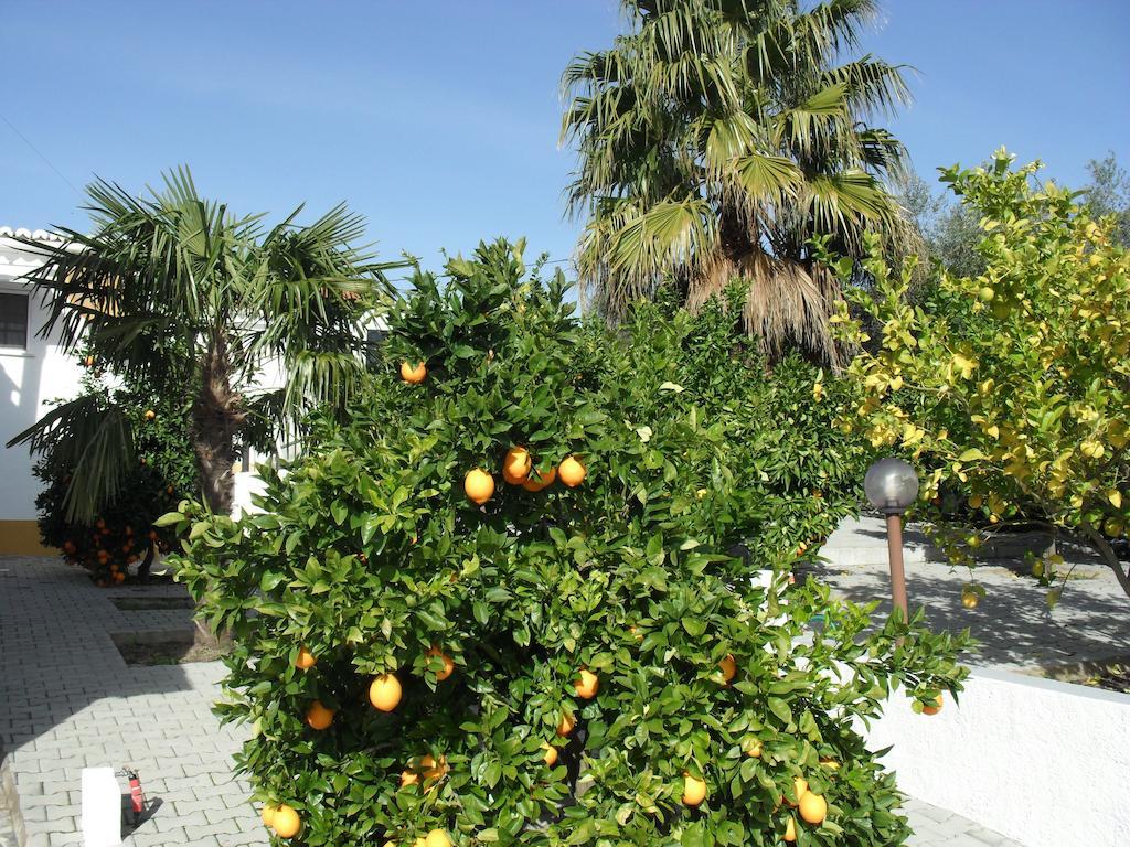 Casa De Campo Quinta Sao Jorge Villa เรเกงกุส ดิ มอนซารัซ ภายนอก รูปภาพ